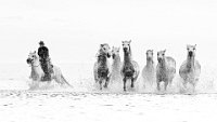 227 - RACE - ZOBOKI-BARAT ADRIENN - hungary <div
